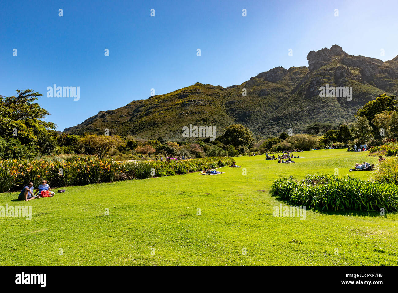 Kirstenbosch Botanical Gardens, Newlands, Cape Town, South Africa Stock Photo