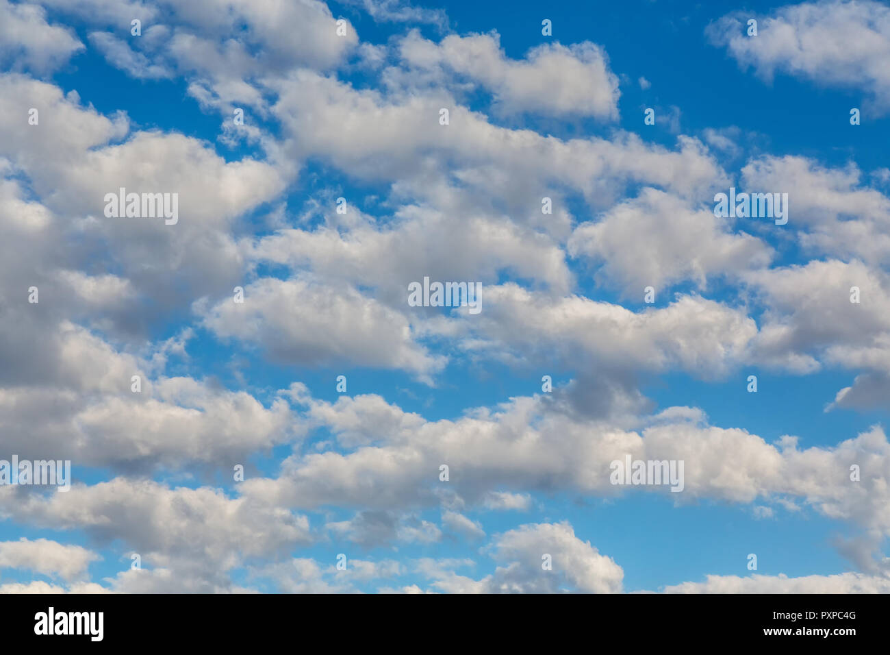 Beautiful blue sky with puffy white clouds - altocumulus Stock Photo