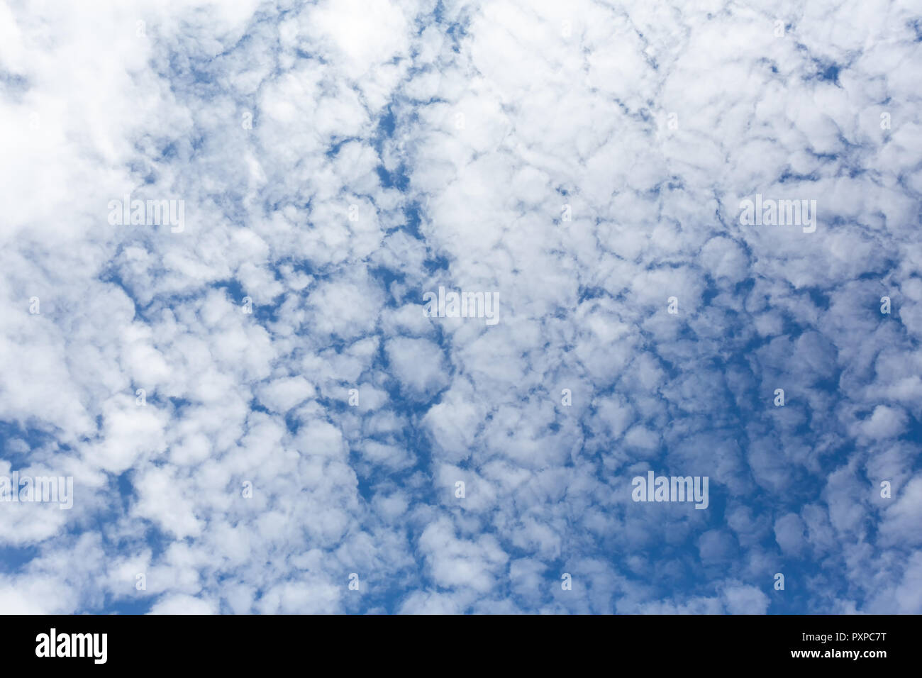 Beautiful blue sky with puffy white clouds - altocumulus Stock Photo