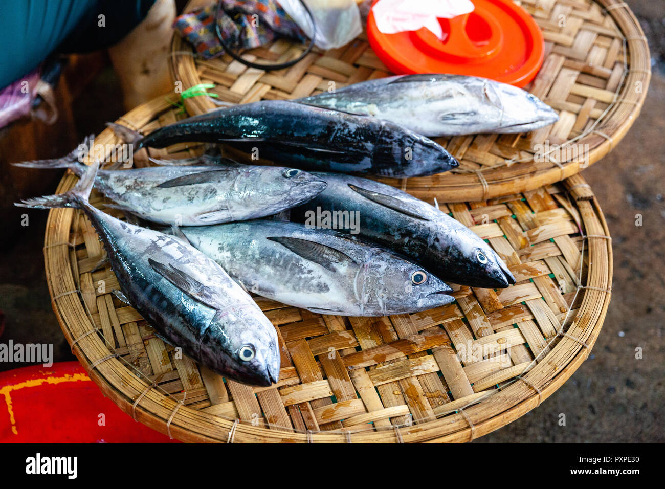 Fresh fish for sale on the street market of Nha Trang, Vietnam. Stock Photo