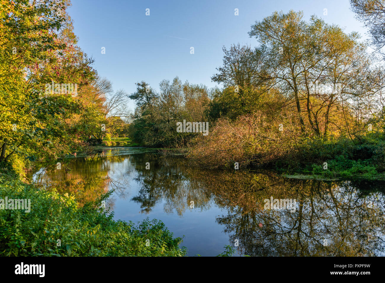 Scenic view along Stour Valley Way with autumnal trees reflected in the Stour river during a sunny day in October 2018, Dorset, England, UK Stock Photo