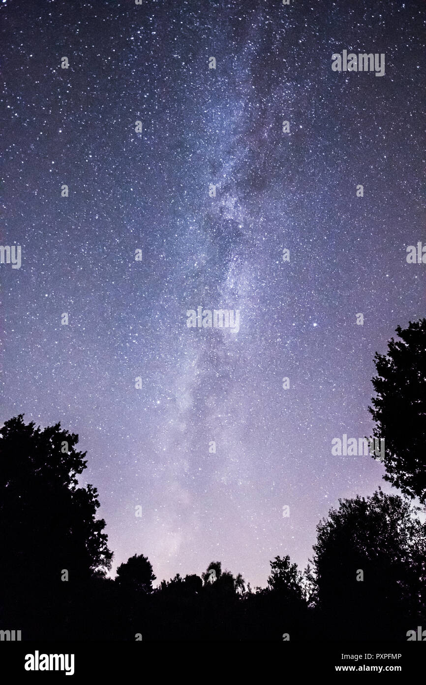 The Milky Way seen from Iping Common, Dark Sky Discovery Site, Sussex, UK, October Stock Photo