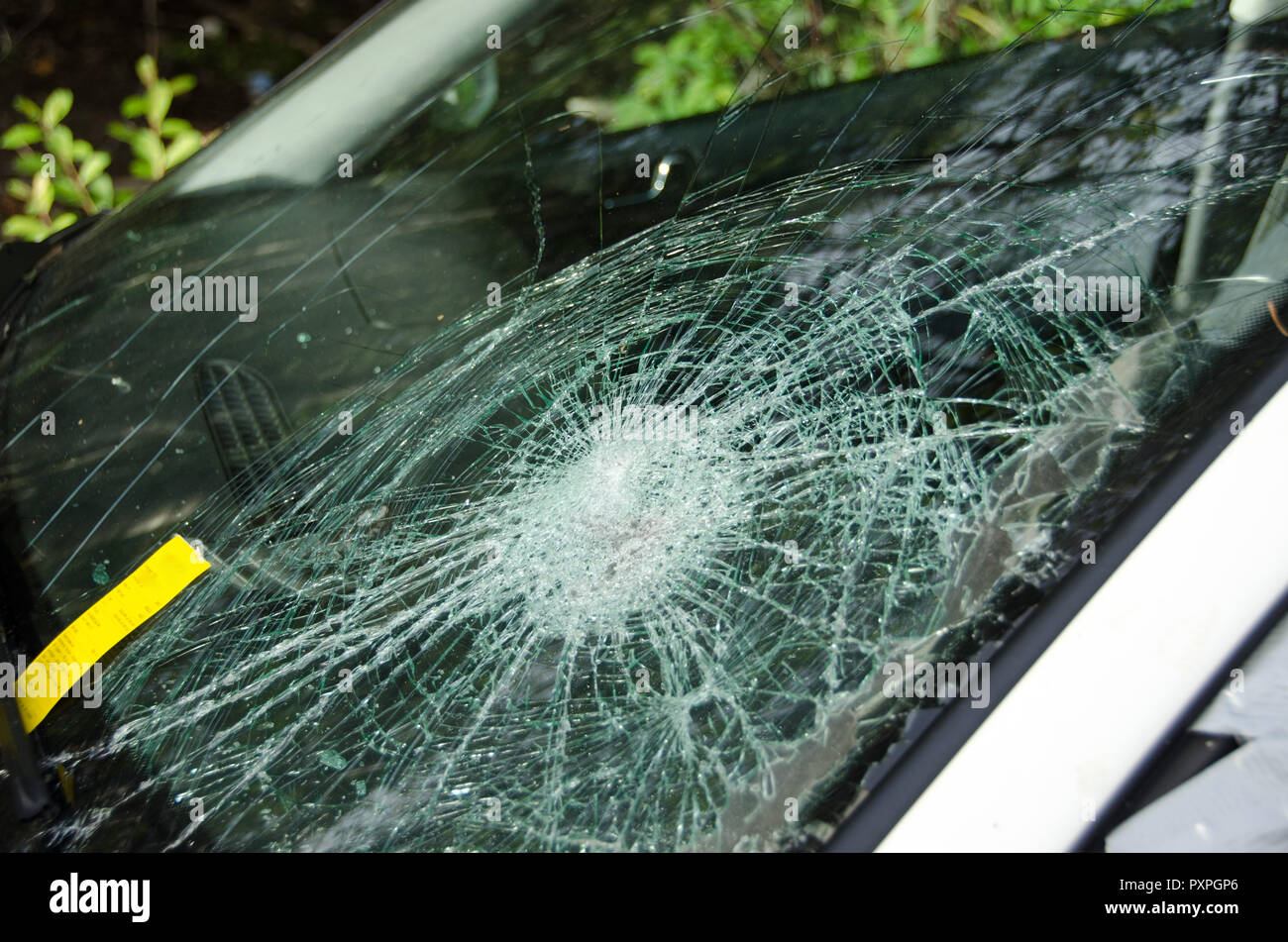 Cracked windshield on car with a fine Stock Photo