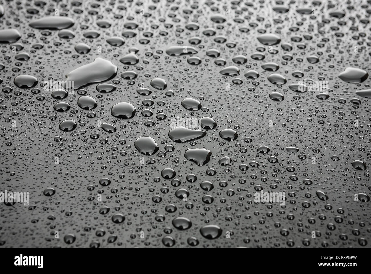 water drops on black background Stock Photo - Alamy
