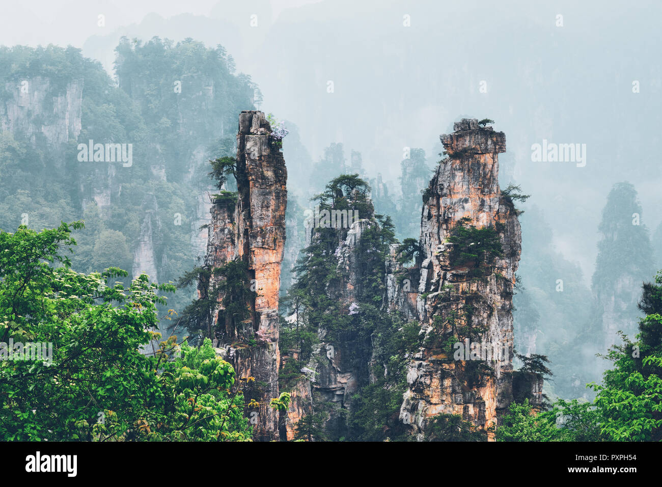 www.alamy.comzhangjiajie-mountains-china-image223001888.html. heart_plus. 