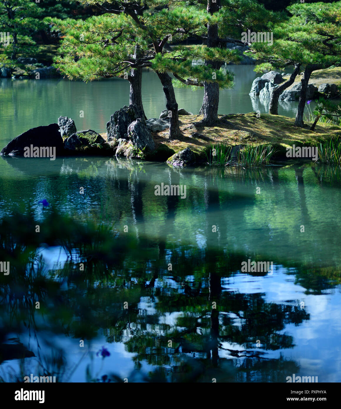 Peaceful scenery of pine trees on an island in a pond of a Japanese Zen garden with beautiful reflections in water. Rokuon-ji temple, Kyoto, Japan. Stock Photo