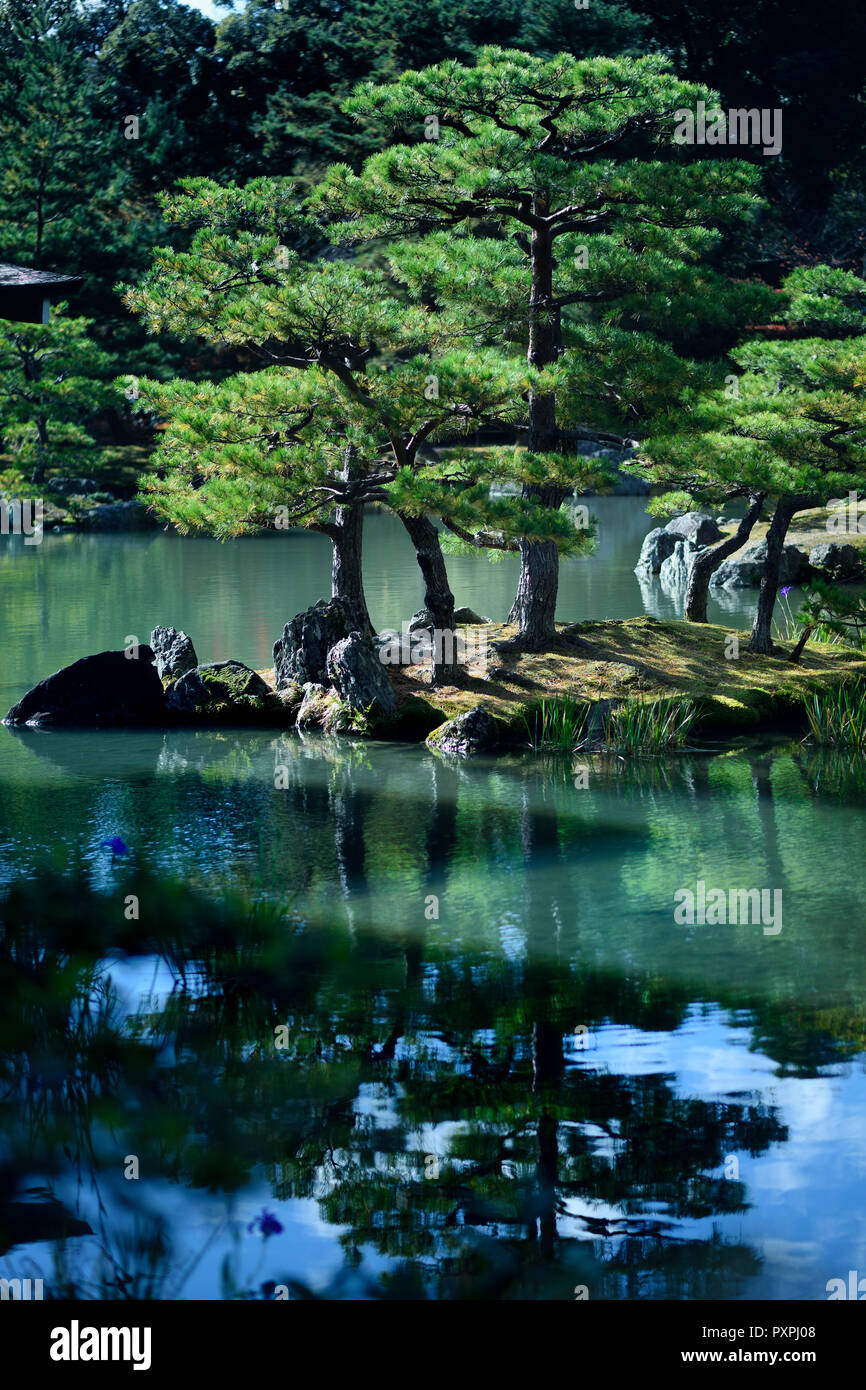 Tranquil scenery of pine trees on an island reflecting in the water of a pond at Rokuon-ji, Kinkaku-ji, Japanese Zen temple garden, Kyoto, Japan. Stock Photo
