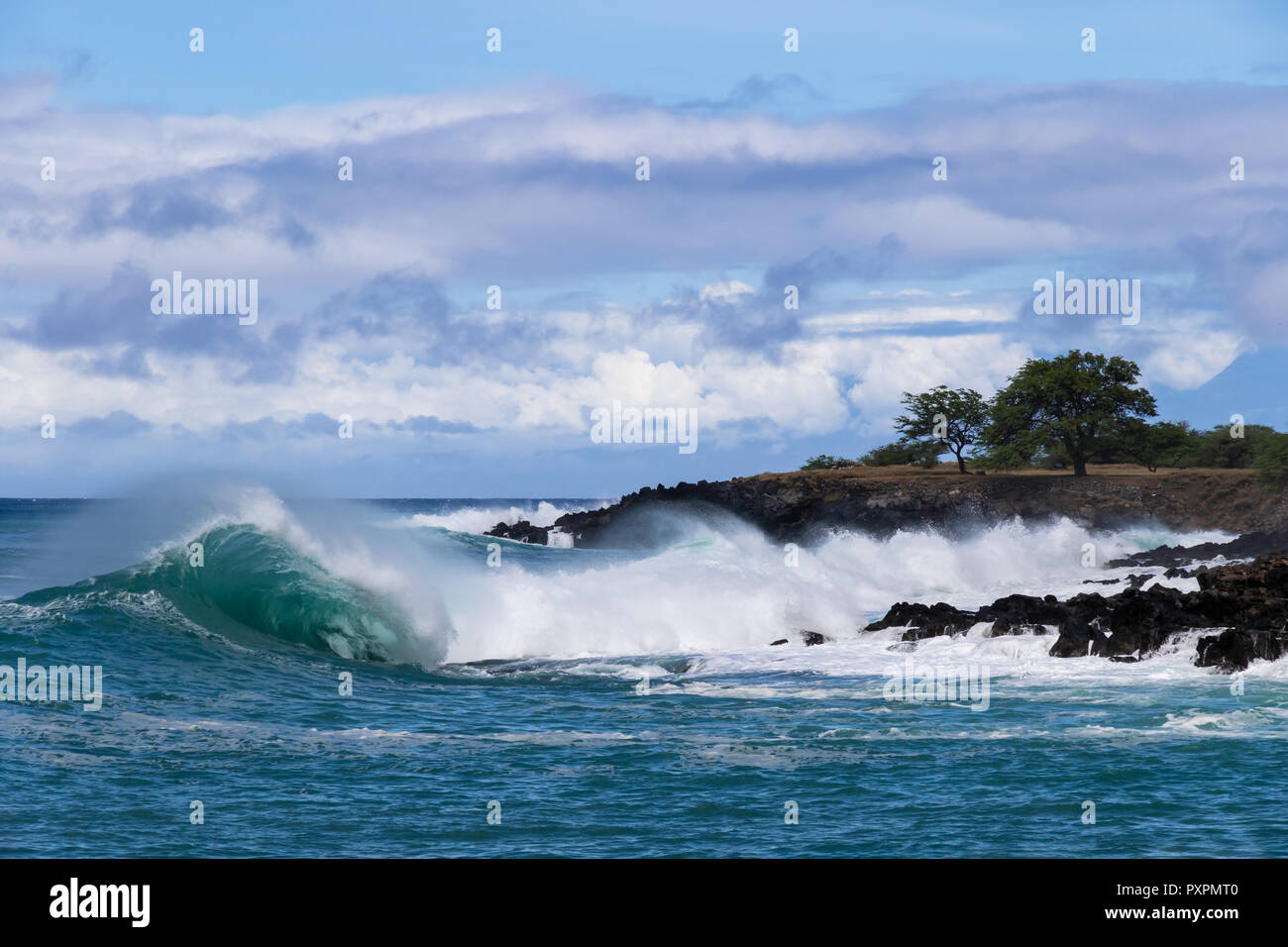 Curling wave cresting and trailing sea spray as it breaks near the shoreline of the Kona coast on Hawaii's Big Island. Stock Photo