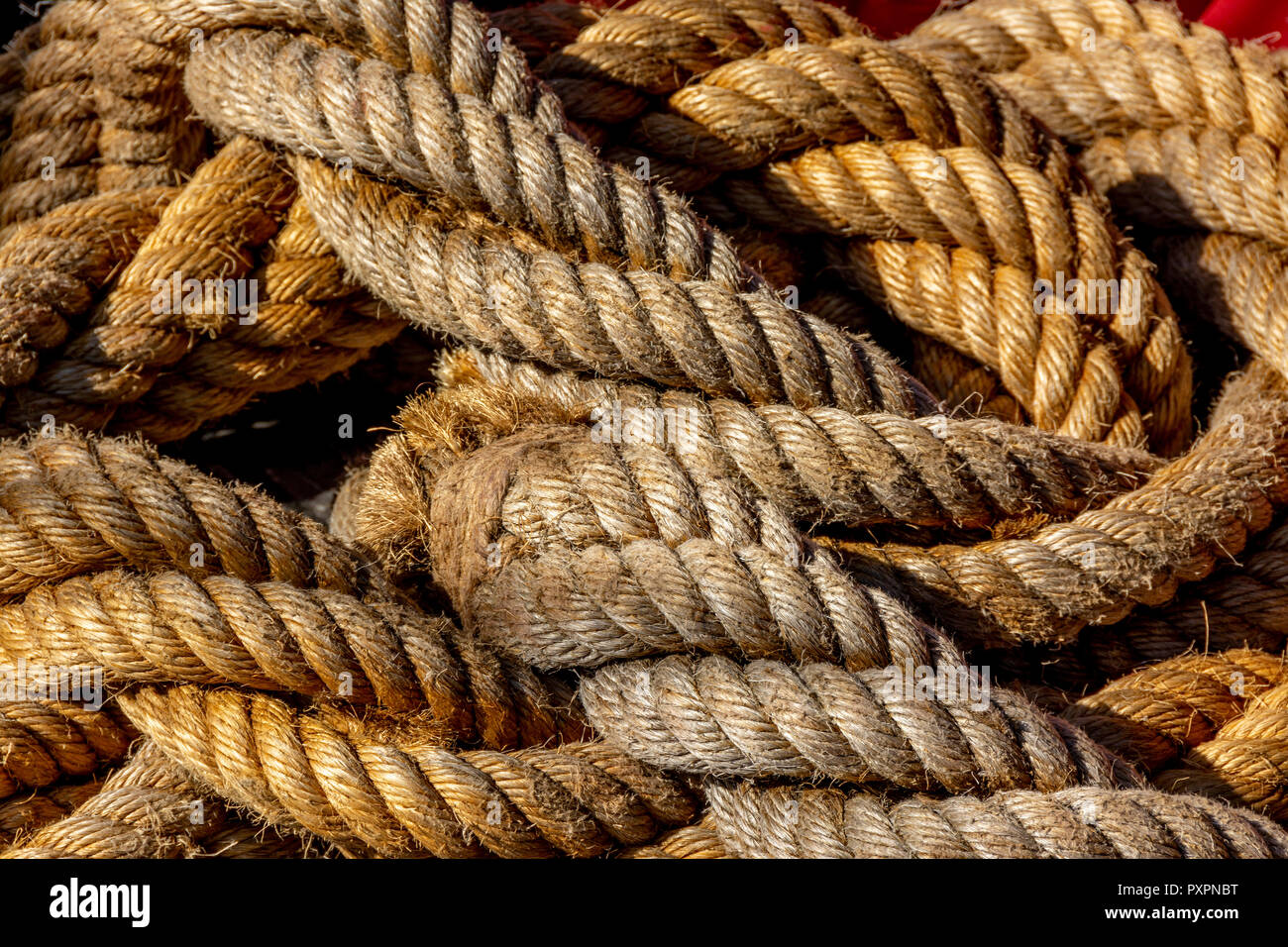 Closeup of ropes under the sunlight at daytime Stock Photo - Alamy