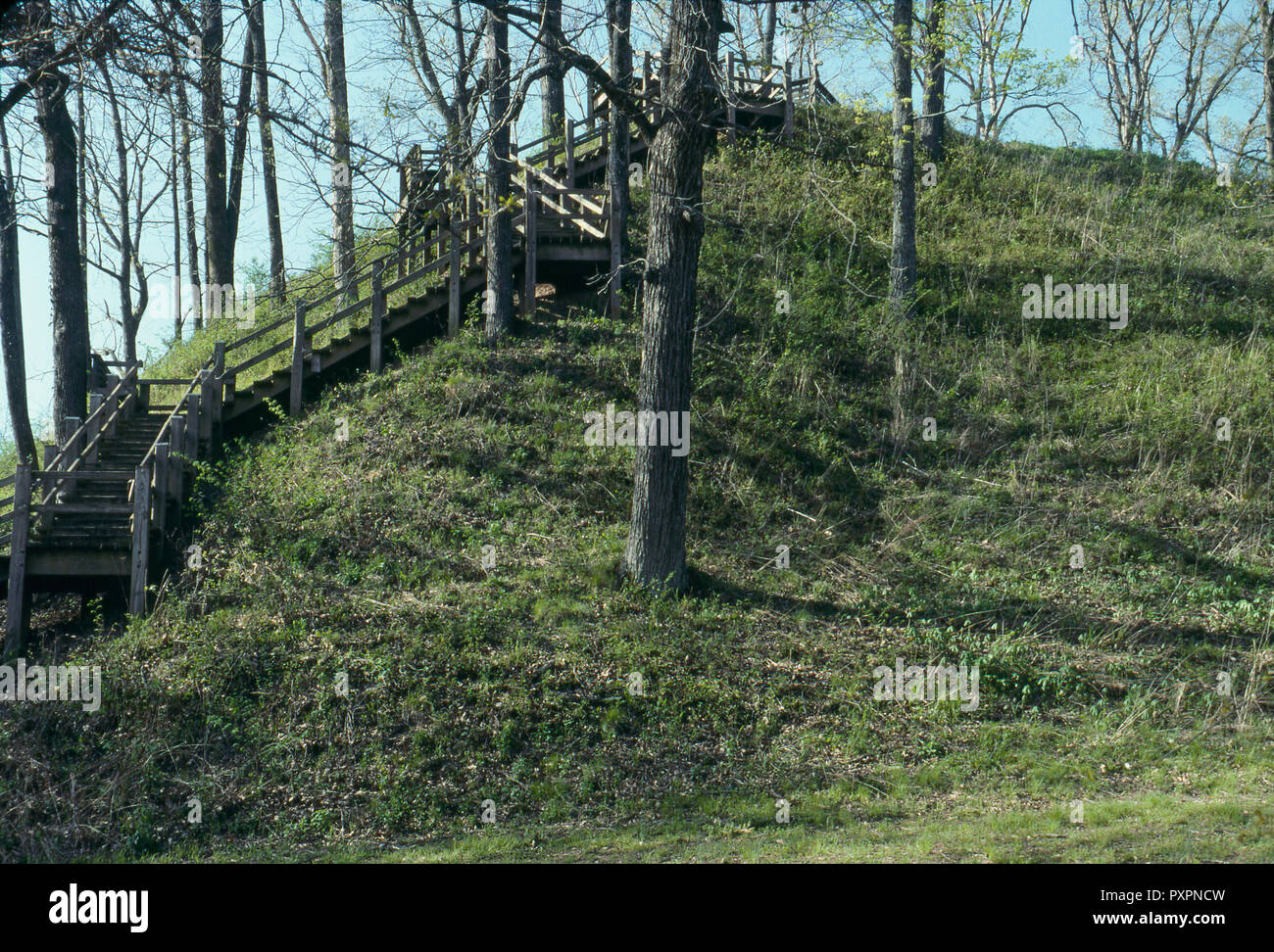 Visitor walkway up Saul's Mound, prehistoric Pinson Mounds State Archaeological Park, Tennessee. Photograph Stock Photo