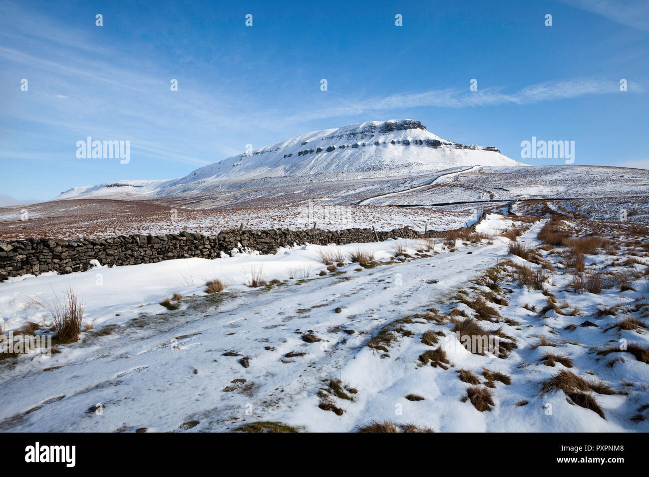 Winter view of Pen-y-Ghent, one of the Yorkshire Three Peaks in the Yorkshire Dales National Park after overnight snow Stock Photo