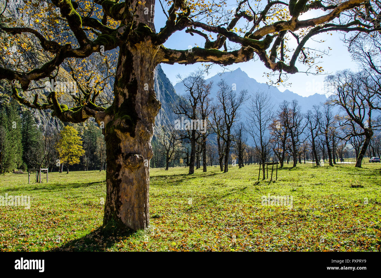 the-natural-monument-gro-er-ahornboden-the-big-maple-plain-is-one-of