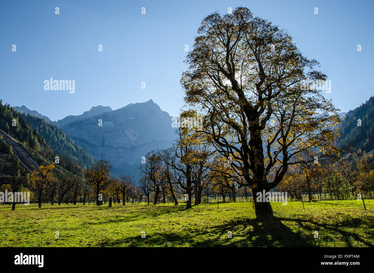 The natural monument "Großer Ahornboden, the big maple plain is one of ...