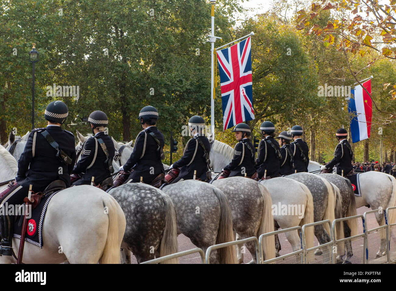 Mounted Policemen and women await the arrival of the Her Majesty the Queen and the King and Queen of Holland on the Mall Stock Photo