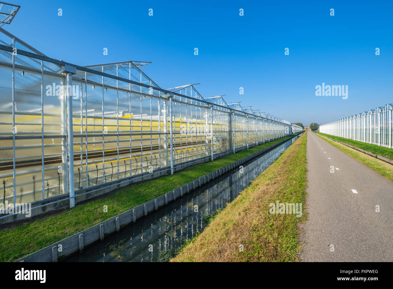 Glass Greenhouses High Resolution Stock Photography and Images - Alamy