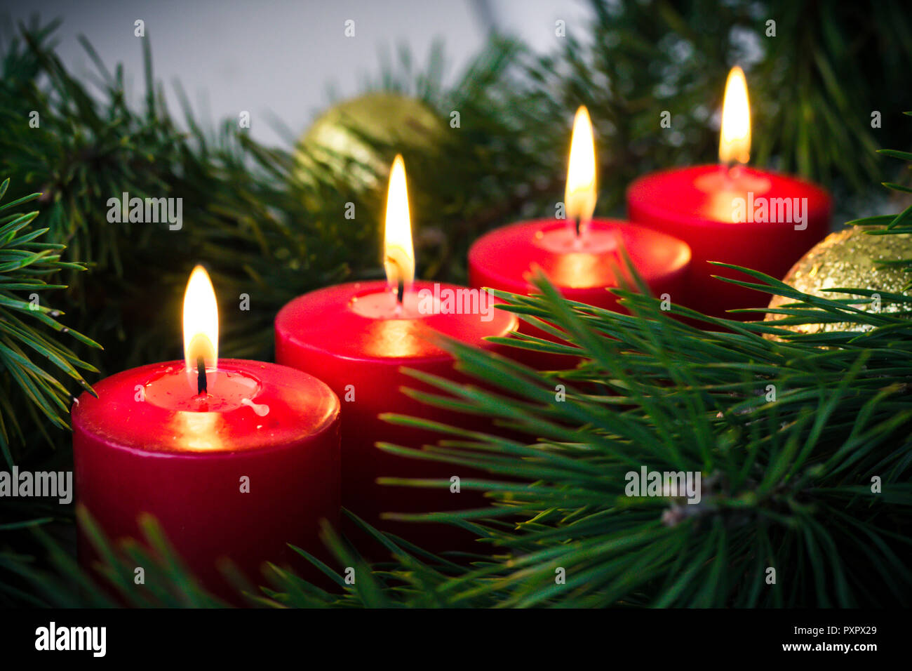 four red lit advent candles surrounded by green fir branches Stock
