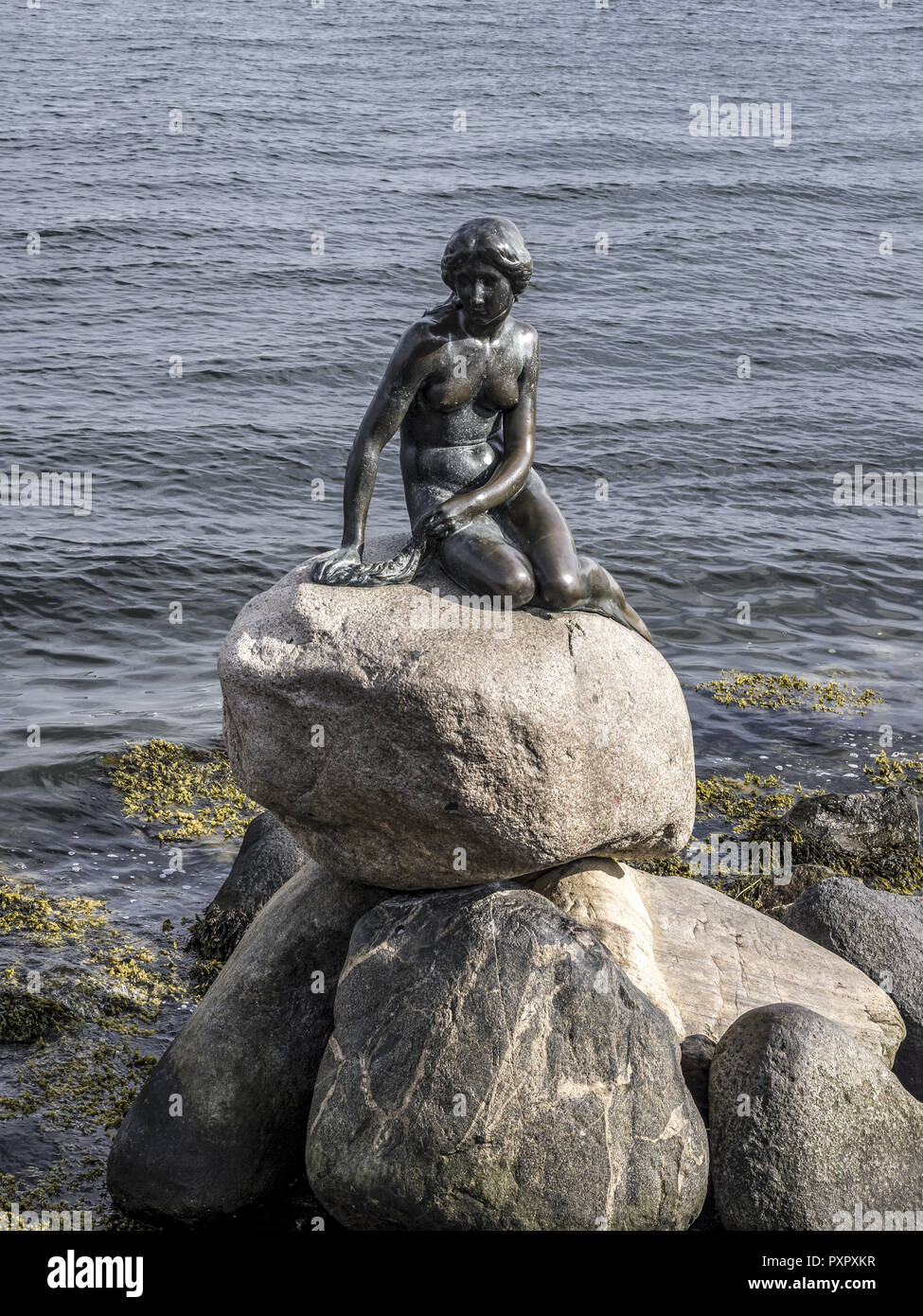 The Mermaid, sculpture in Copenhagen, Denmark Stock Photo - Alamy