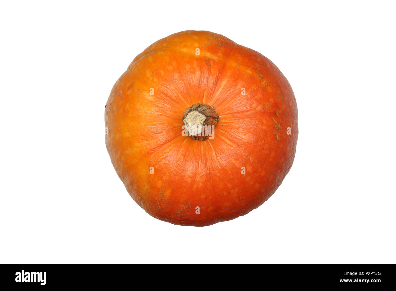 pumpkin isolated on white background Stock Photo - Alamy