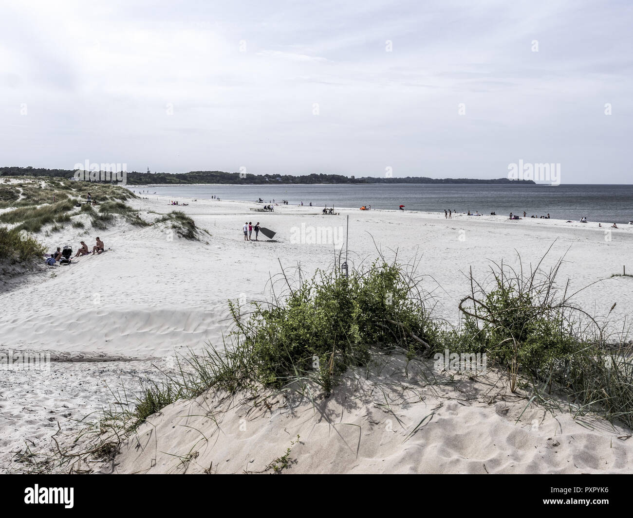 Sand Dunes and Beach at Hornbaek, Denmark, Scandinavia Stock Photo