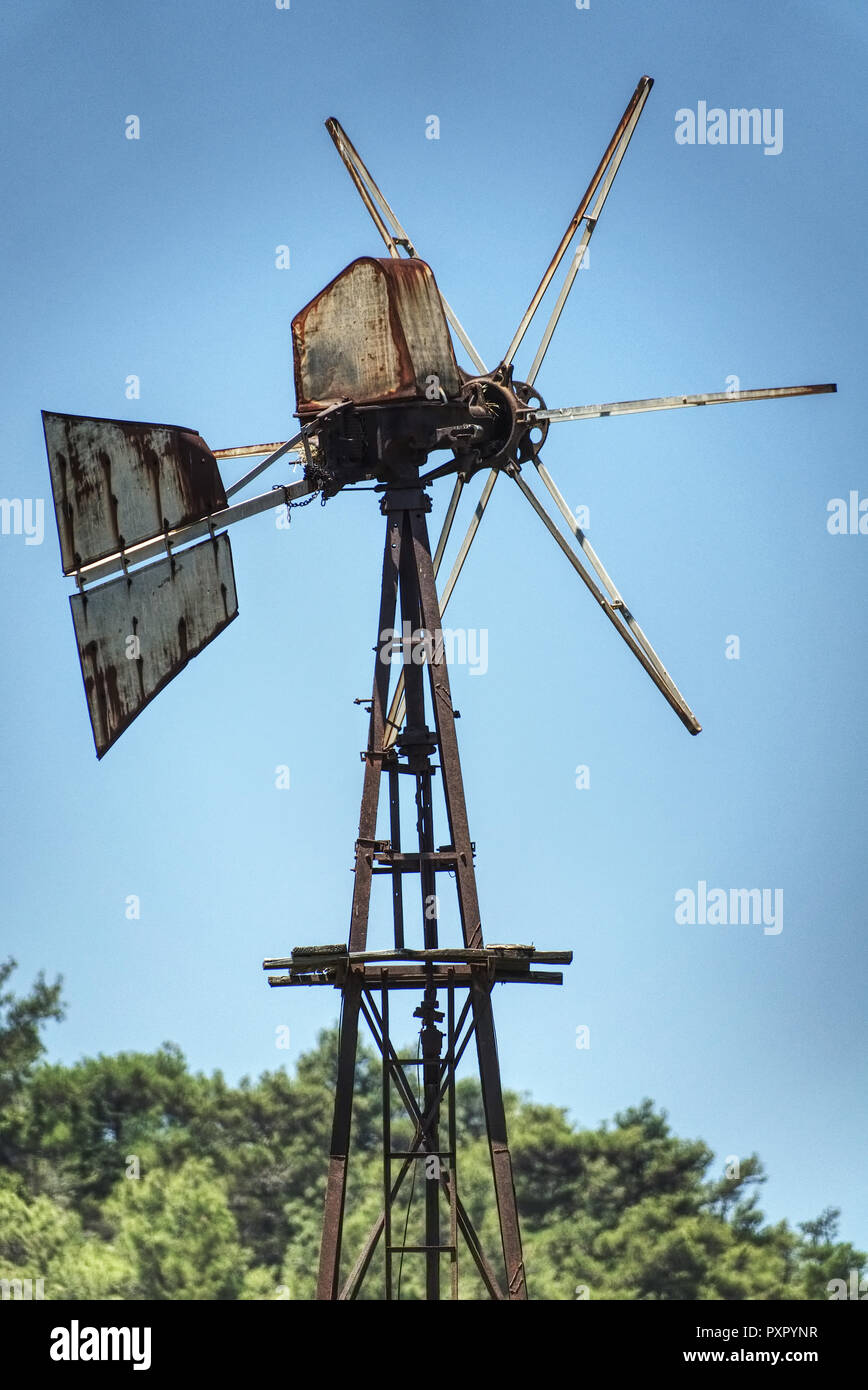 Alte Windmühle im Olivenhain, Rhodos Stock Photo