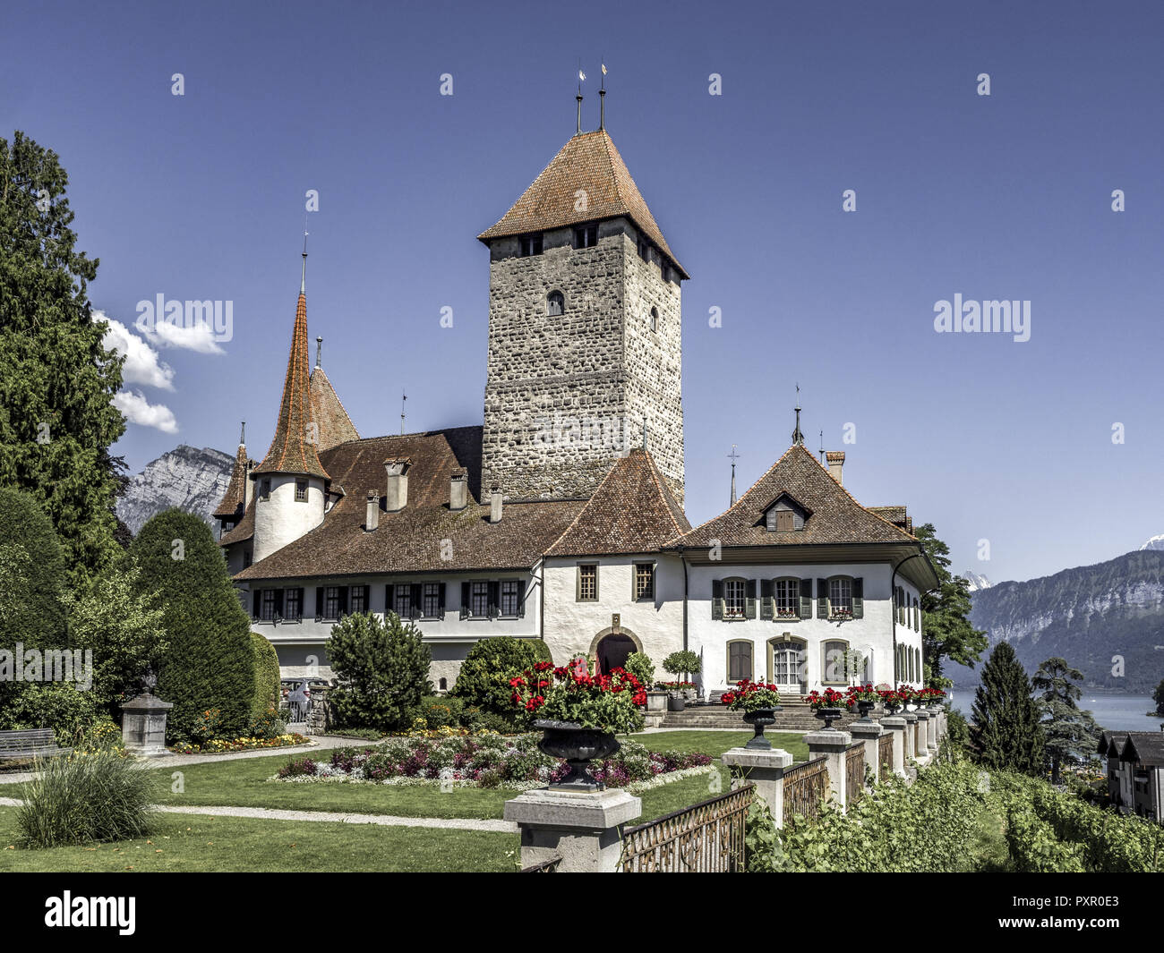 Spiez Castle, Lake Thun, Bernese Oberland, Switzerland, Europe Stock Photo
