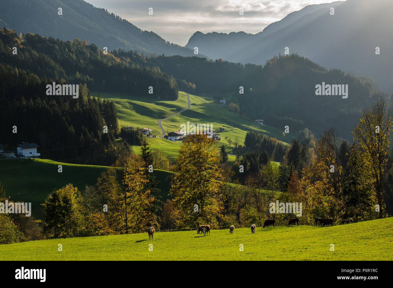 Brandenberg is a municipality in the Austrian state of Tyrol in the district Kufstein. It consists of the Brandenberg village and the Aschau locality Stock Photo