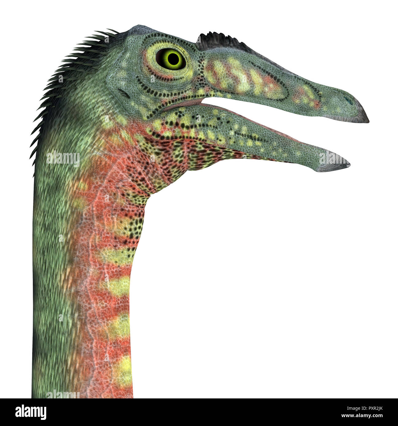 Deinocheirus Images – Browse 73 Stock Photos, Vectors, and Video