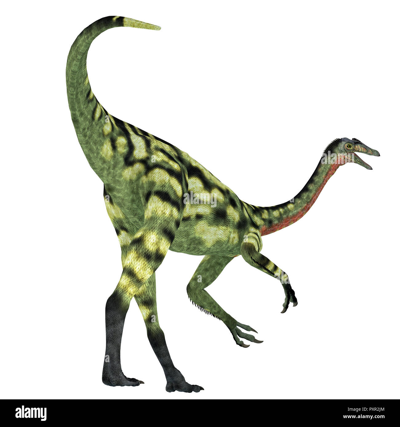 Deinocheirus dinosaurs, illustration - Stock Image - C048/2646 - Science  Photo Library