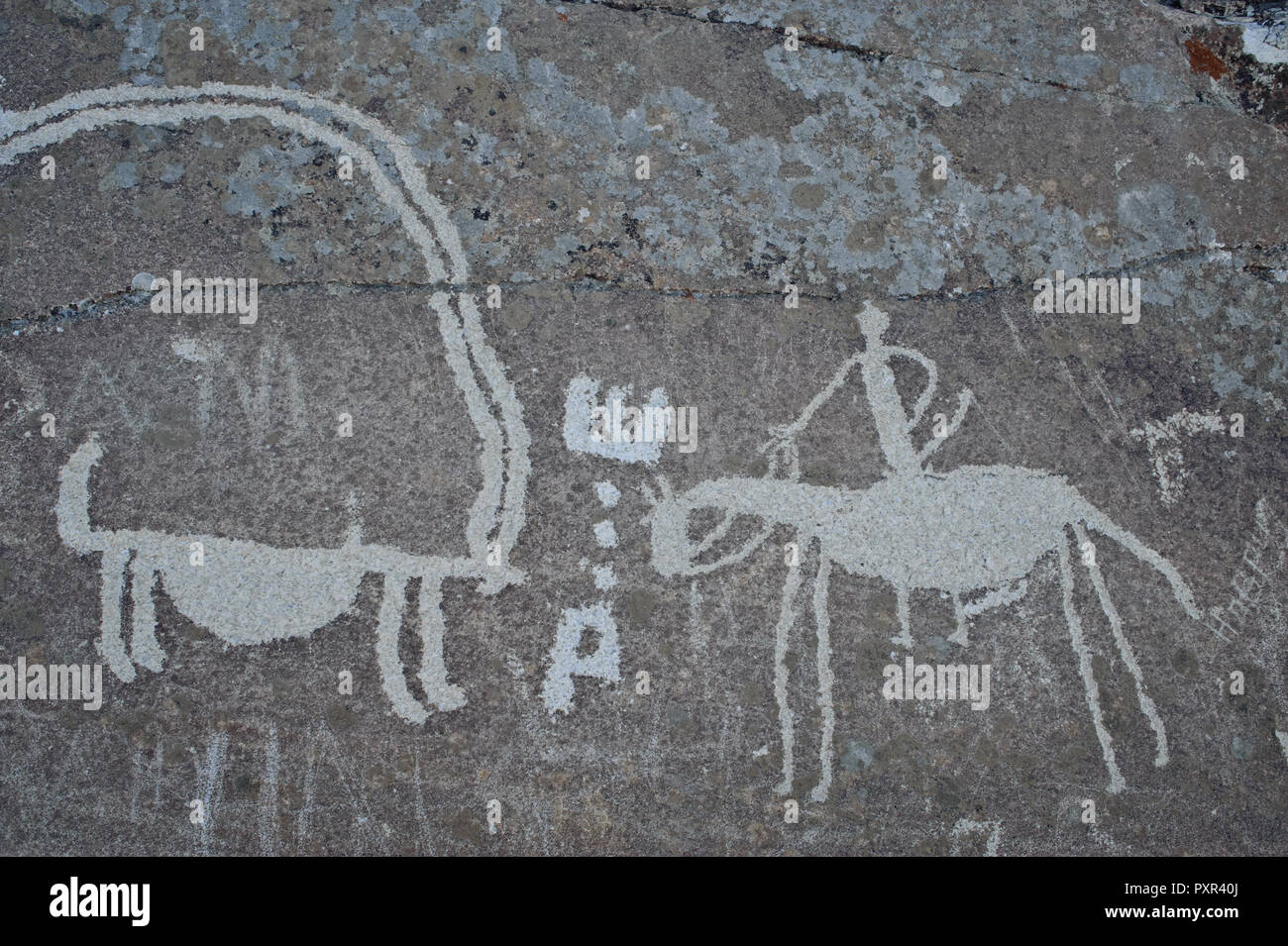 Petroglyphs degraded by graffiti ( Tajikistan). They represent an ibex and a horseman. Stock Photo