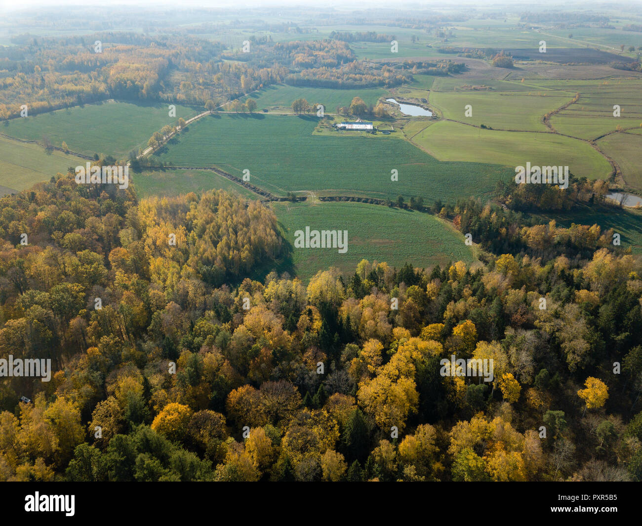 drone image. aerial view of rural area with fields and forests in ...