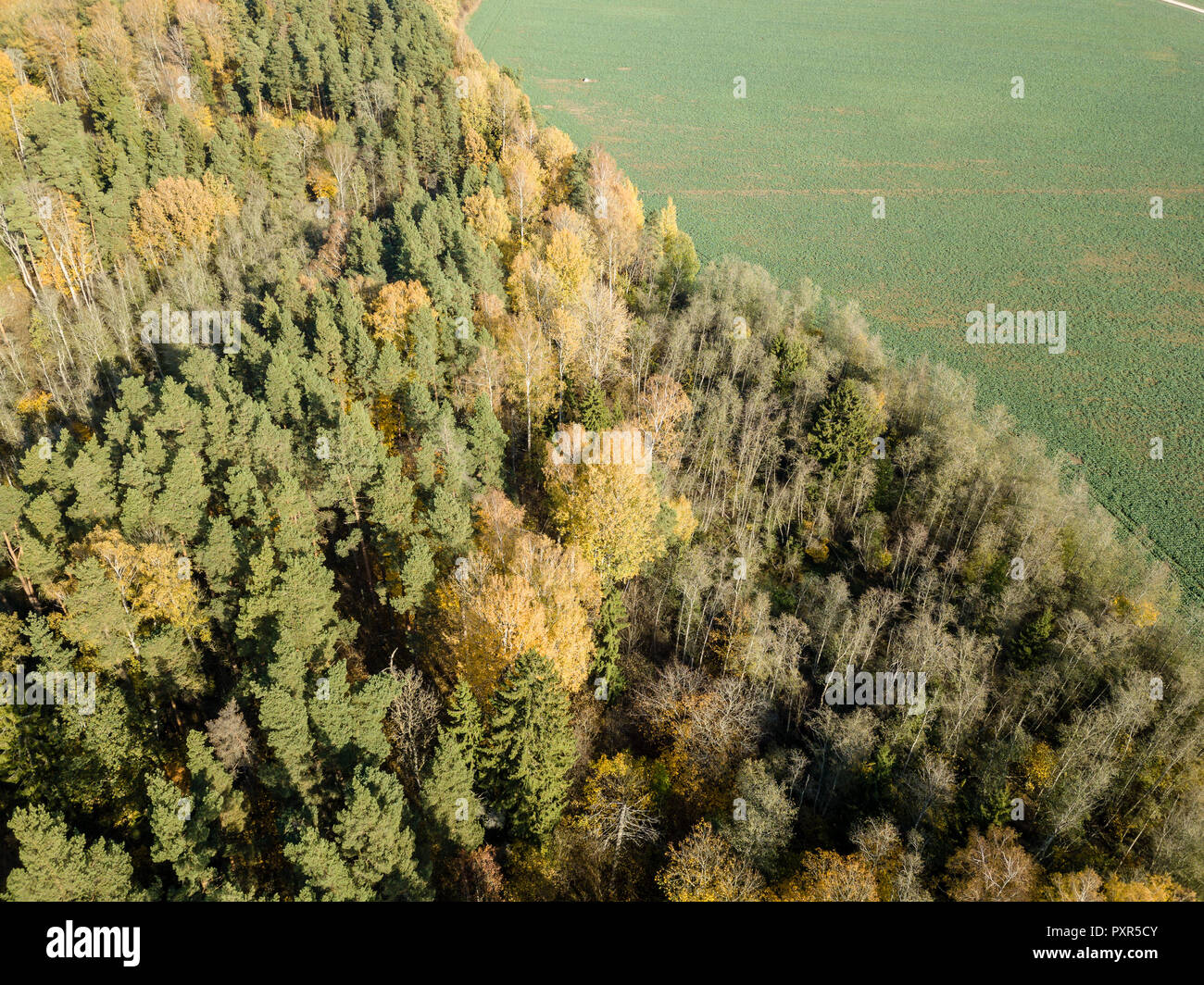 drone image. aerial view of rural area with fields and forests in ...