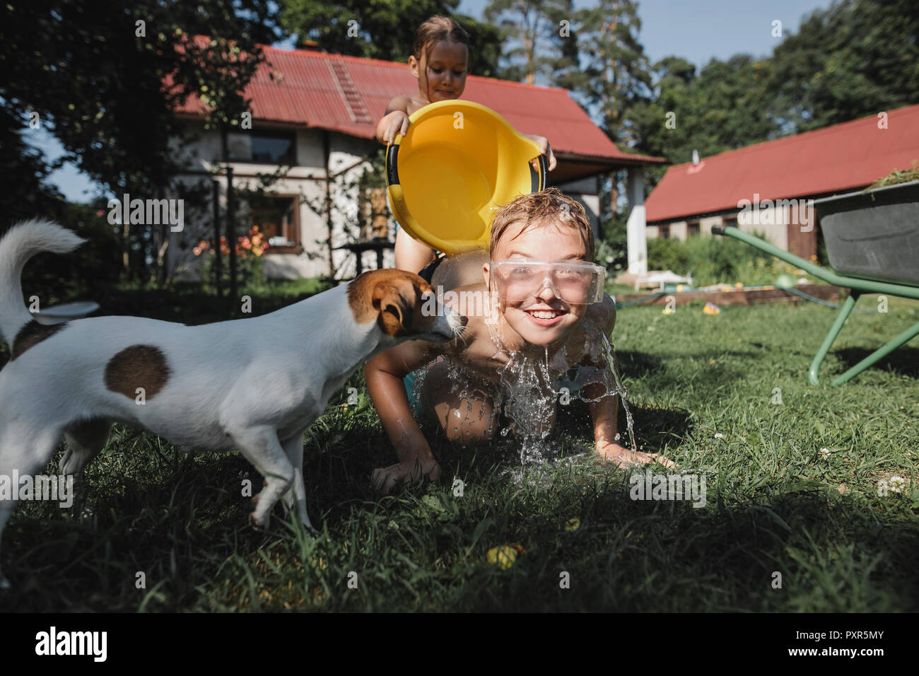 Brother, sister and dog playing with water in garden Stock Photo