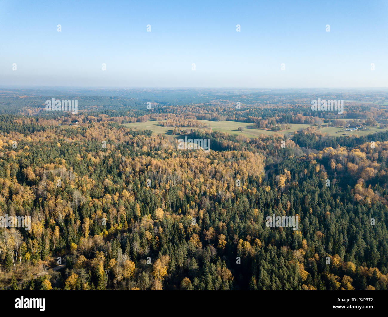 drone image. aerial view of rural area with fields and forests in ...