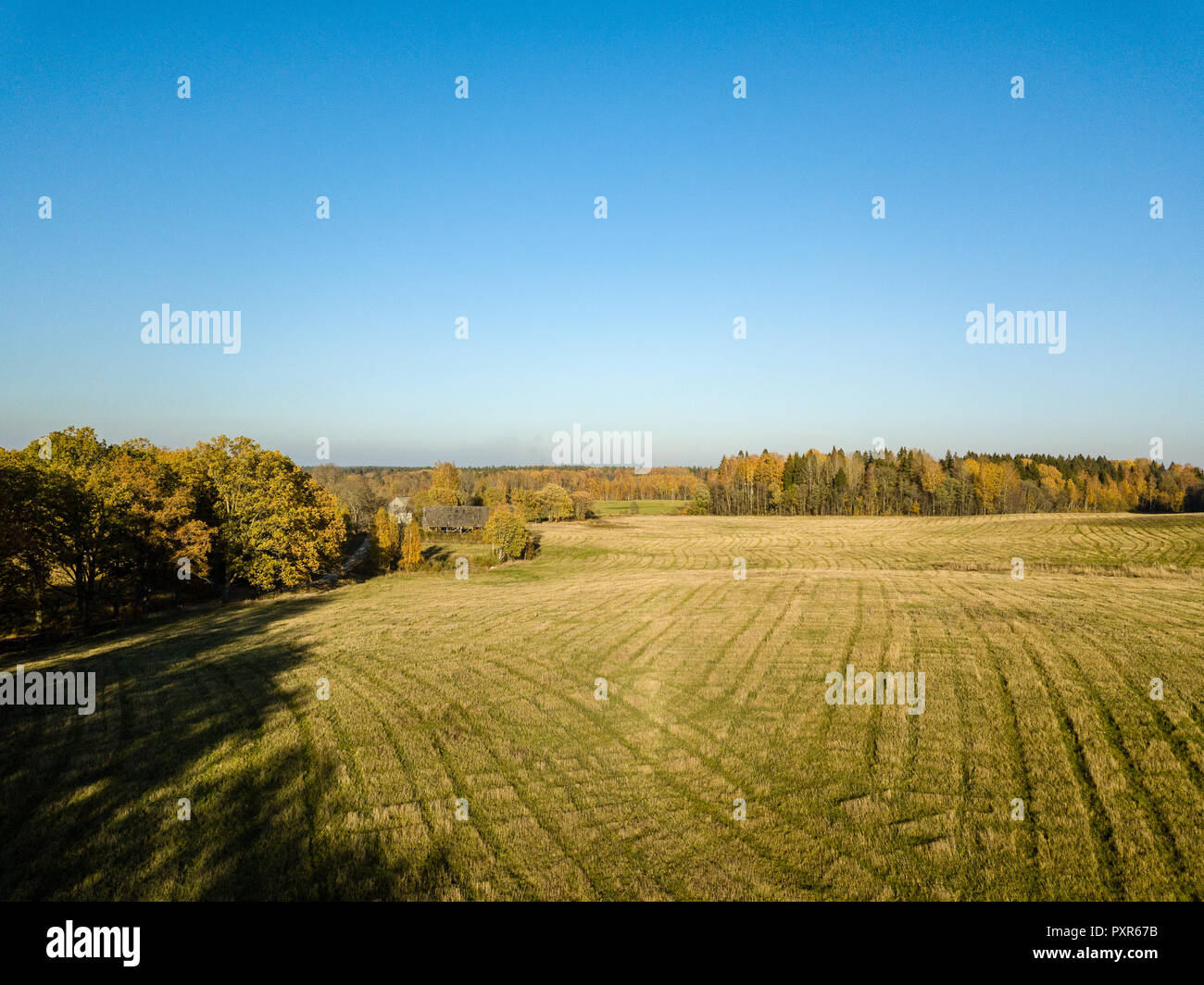 drone image. aerial view of rural area with fields and forests in ...