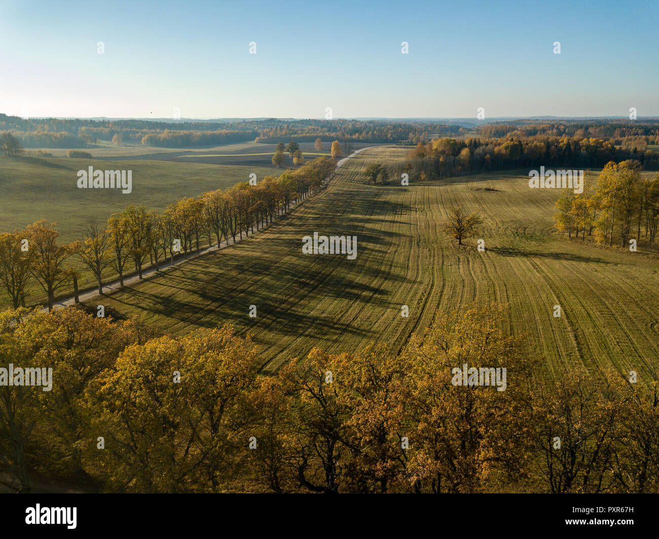 drone image. aerial view of rural area with fields and forests in ...