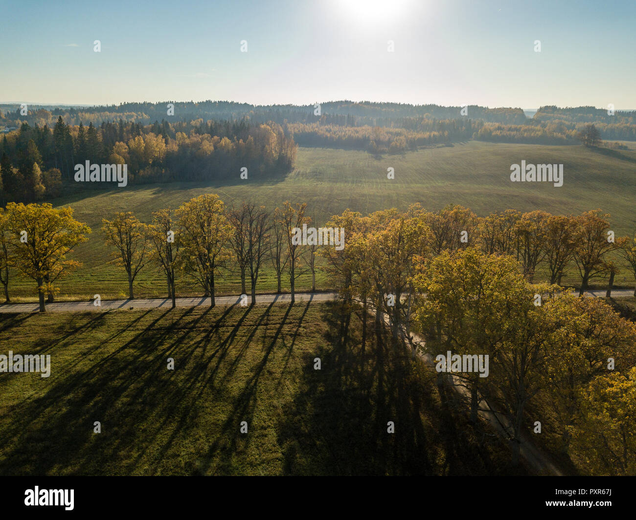 drone image. aerial view of rural area with fields and forests in ...