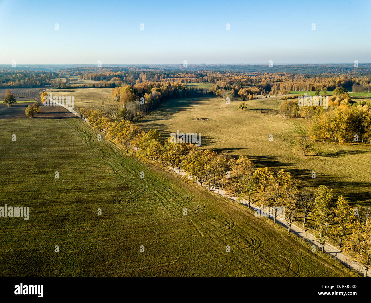 drone image. aerial view of rural area with fields and forests in ...