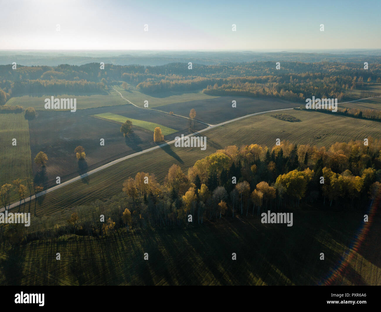 drone image. aerial view of rural area with fields and forests in ...