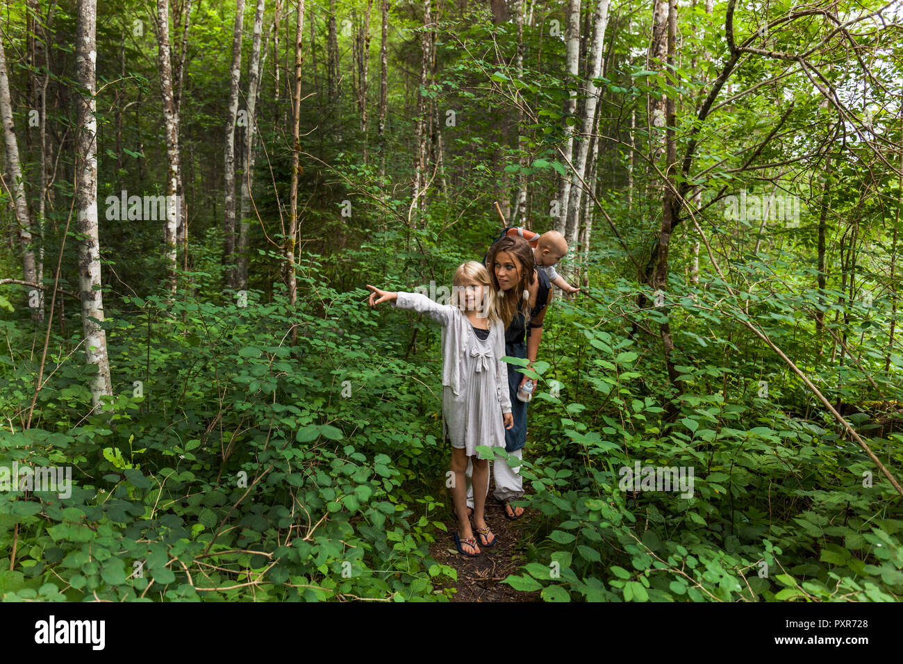 Girl hiking in the woods showing the way to mother and little brother Stock Photo