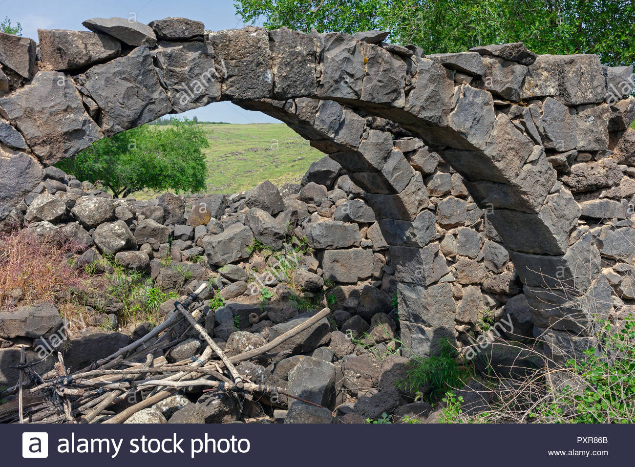 Chorazin Stock Photos & Chorazin Stock Images Alamy