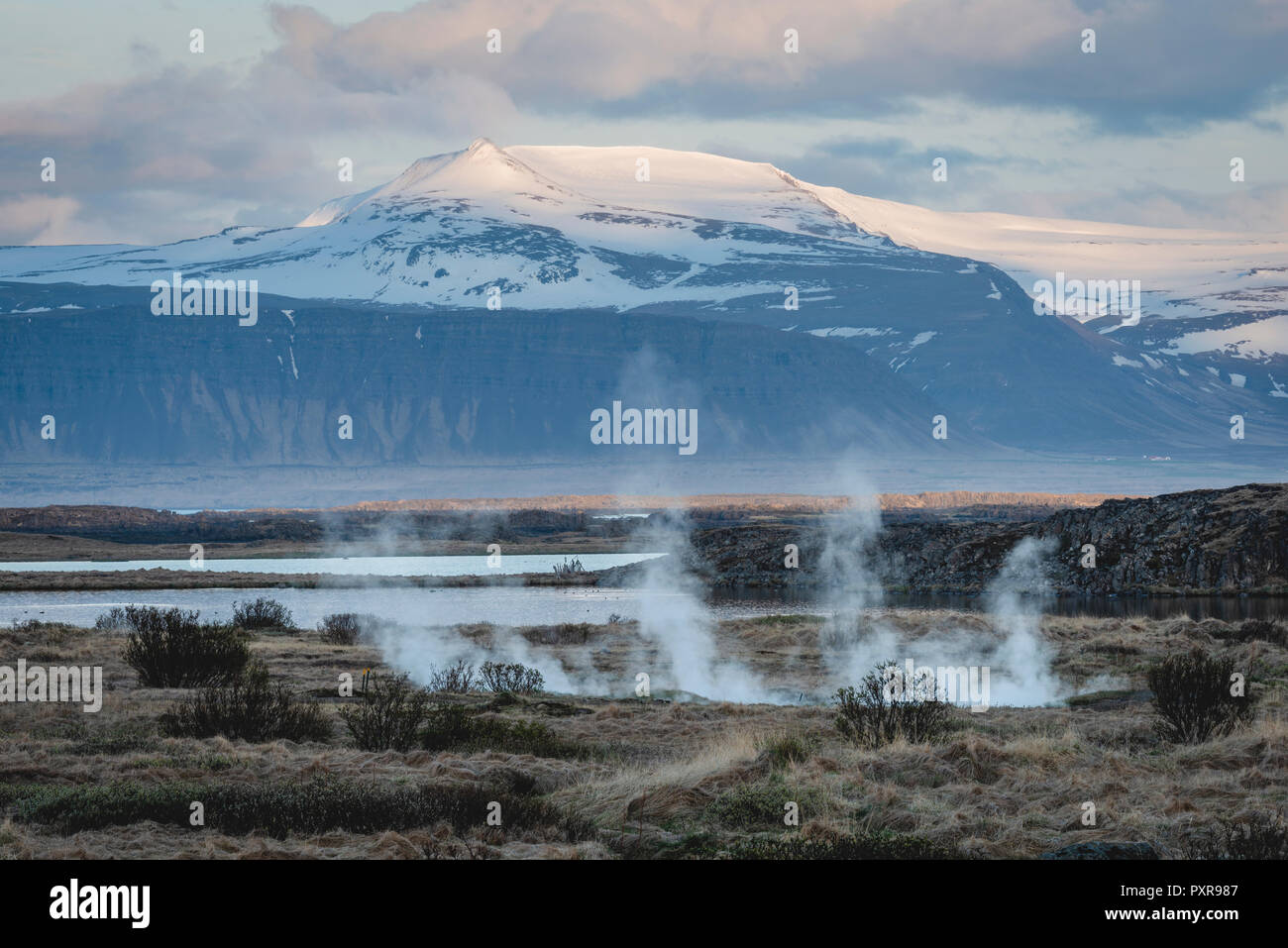 Iceland, Vestfiroir, Reykholar, geothermal area Stock Photo