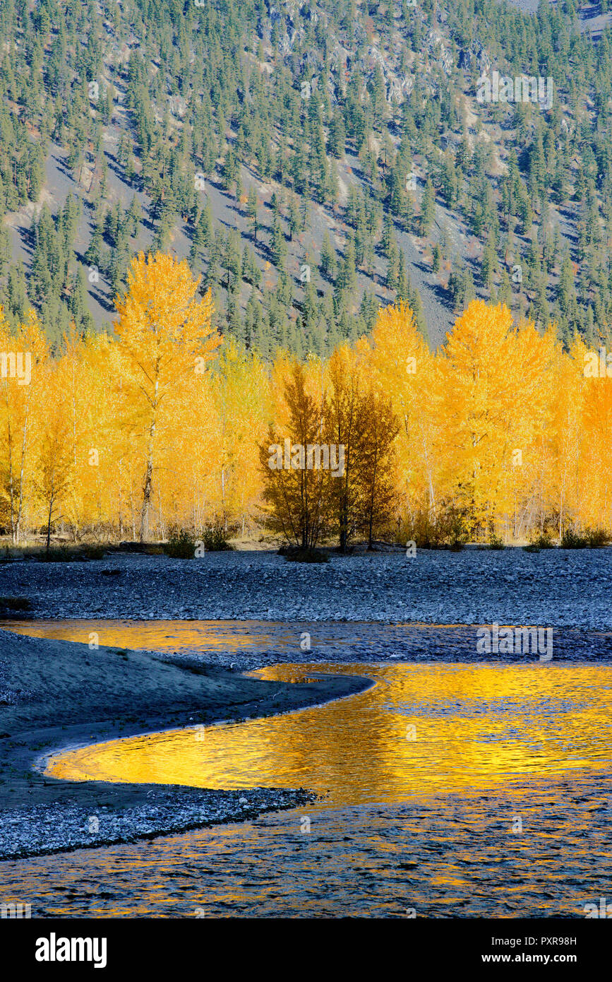 Fall colour, Similkameen River, near Princeton, British Columbia, Canada Stock Photo