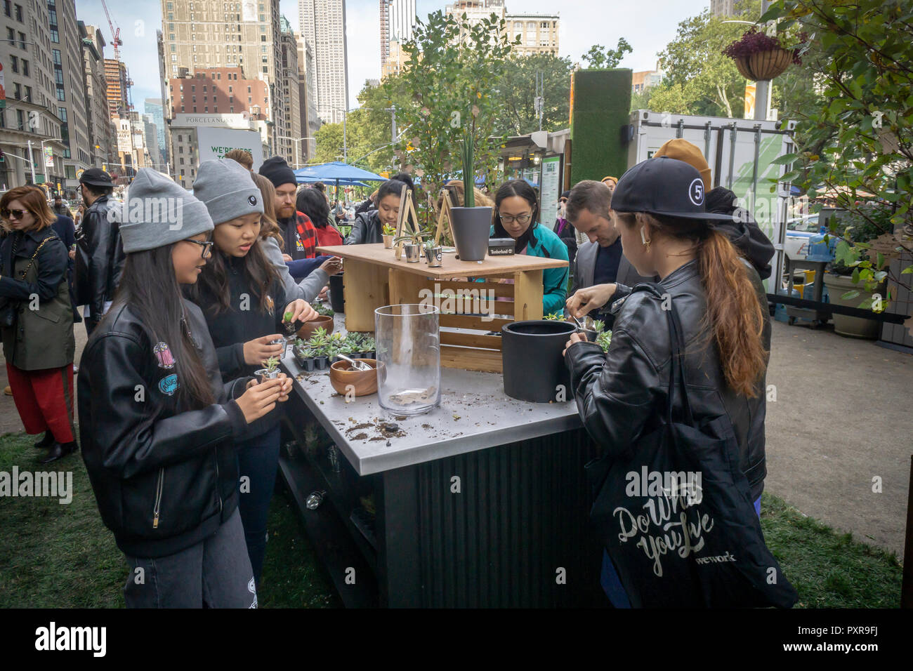 Visitors to Flatiron Plaza in New York on Tuesday, October 16, 2018 pot  their free succulents at a branding event for VF Corp.'s Timberland boots  and apparel brand. By taking a pledge