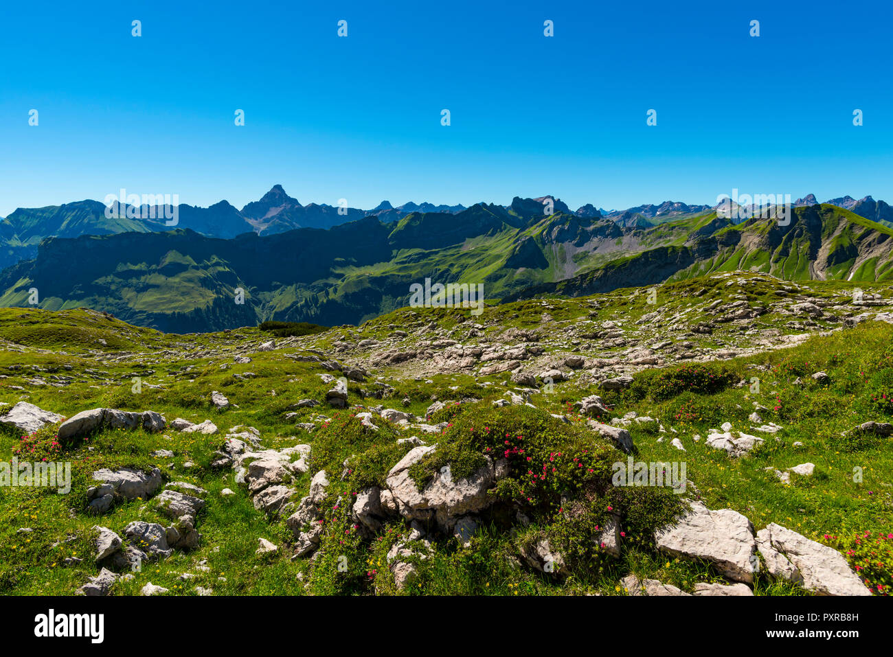 Koblat am Nebelhorn, 2224m, dahinter der Hochvogel (2592m), Allgaeuer Alpen, Allgaeu, Bayern, Deutschland, Europa Stock Photo