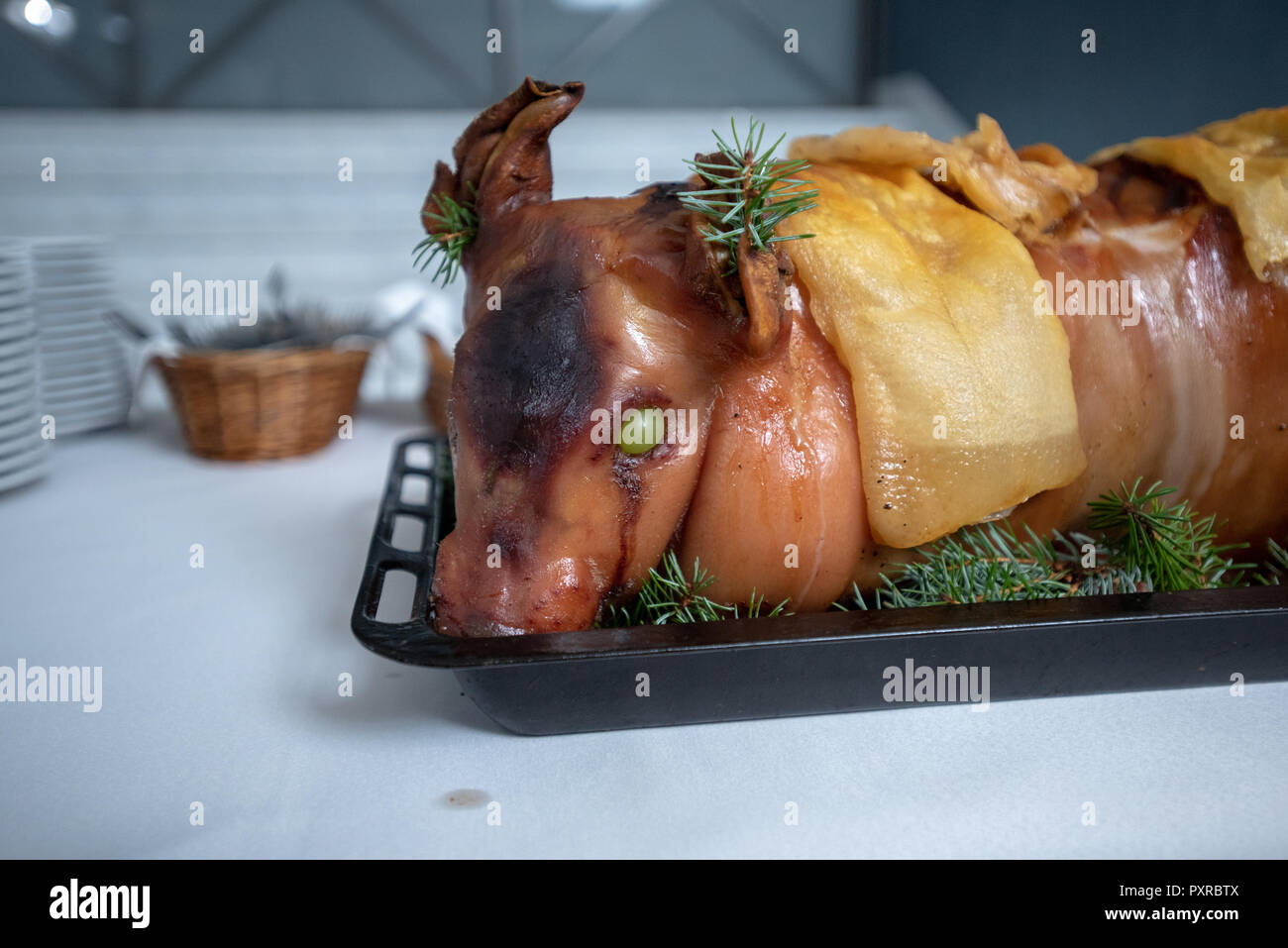 Close-up of roasted pig head garnished with grapes and pine leaves for Polish banquet, Masovian Voivodeship, Poland Stock Photo