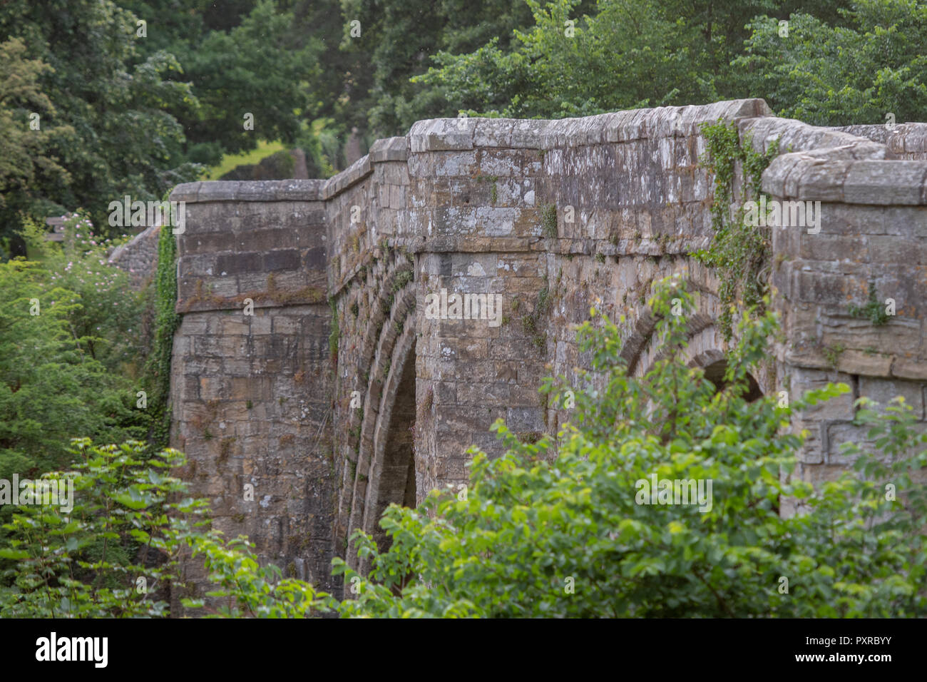 Mosses and other vegetation creep up the walls of an aged stone bridge in Kirkby Lonsdale, Cumbria , UK Stock Photo
