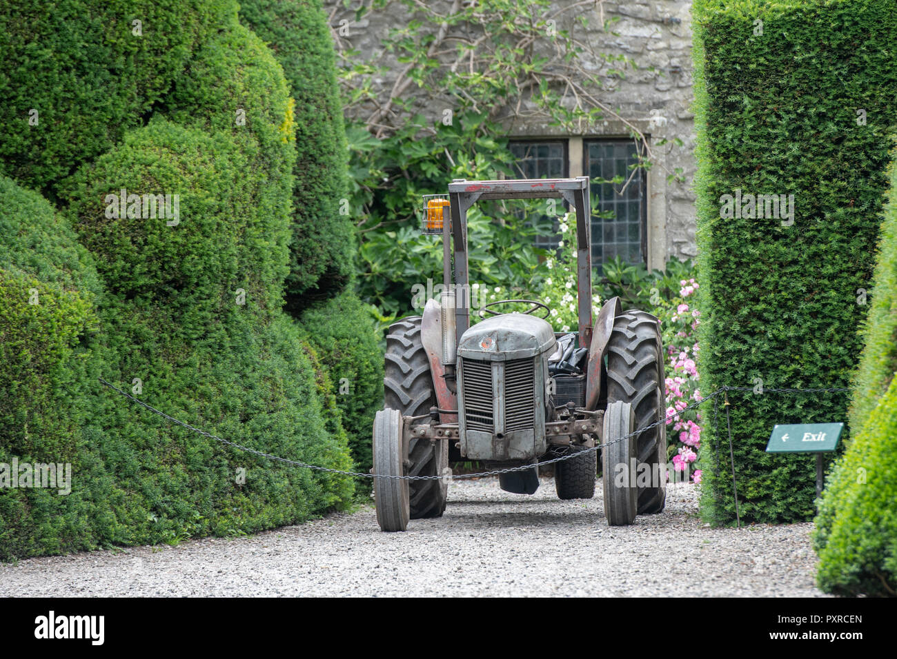 Little grey Fergie (Ferguson tractor) at topiary Gardens at Levens Hall
