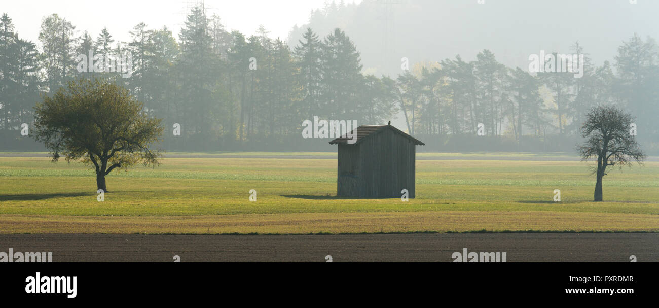 morning mist in a mountain valley with fields and an old wooden barn and isolated trees with forest in fog behind Stock Photo