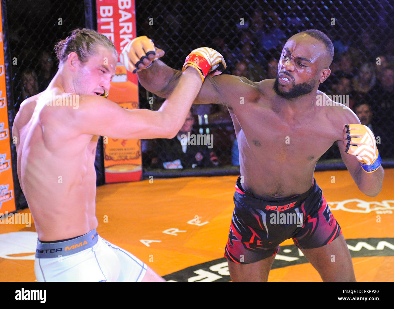 Tunica, MS, USA. 20th Oct, 2018. MMA fighter, Chris Brown (right), delivers  a hook to the head of Thomas Gifford (left), during V3 FIGHTS 70 at the  Fitz Casino in Tunica, MS.
