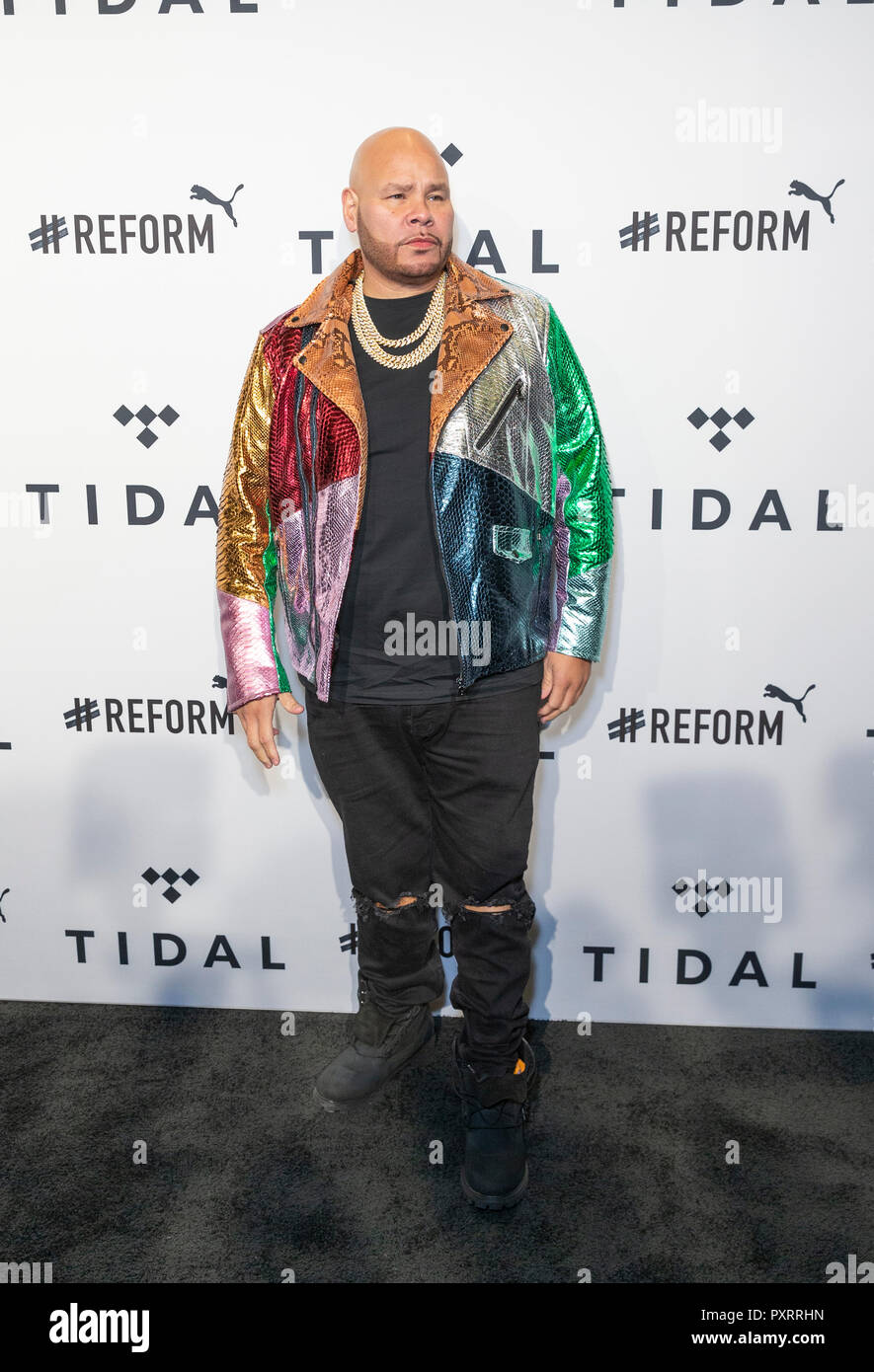 Fat joe 2018